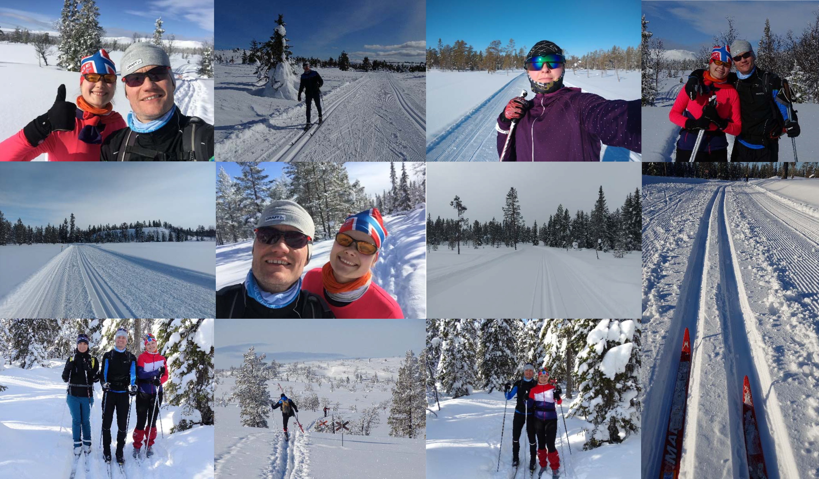 04 Schweden Wintertraum - Skilaufbilder