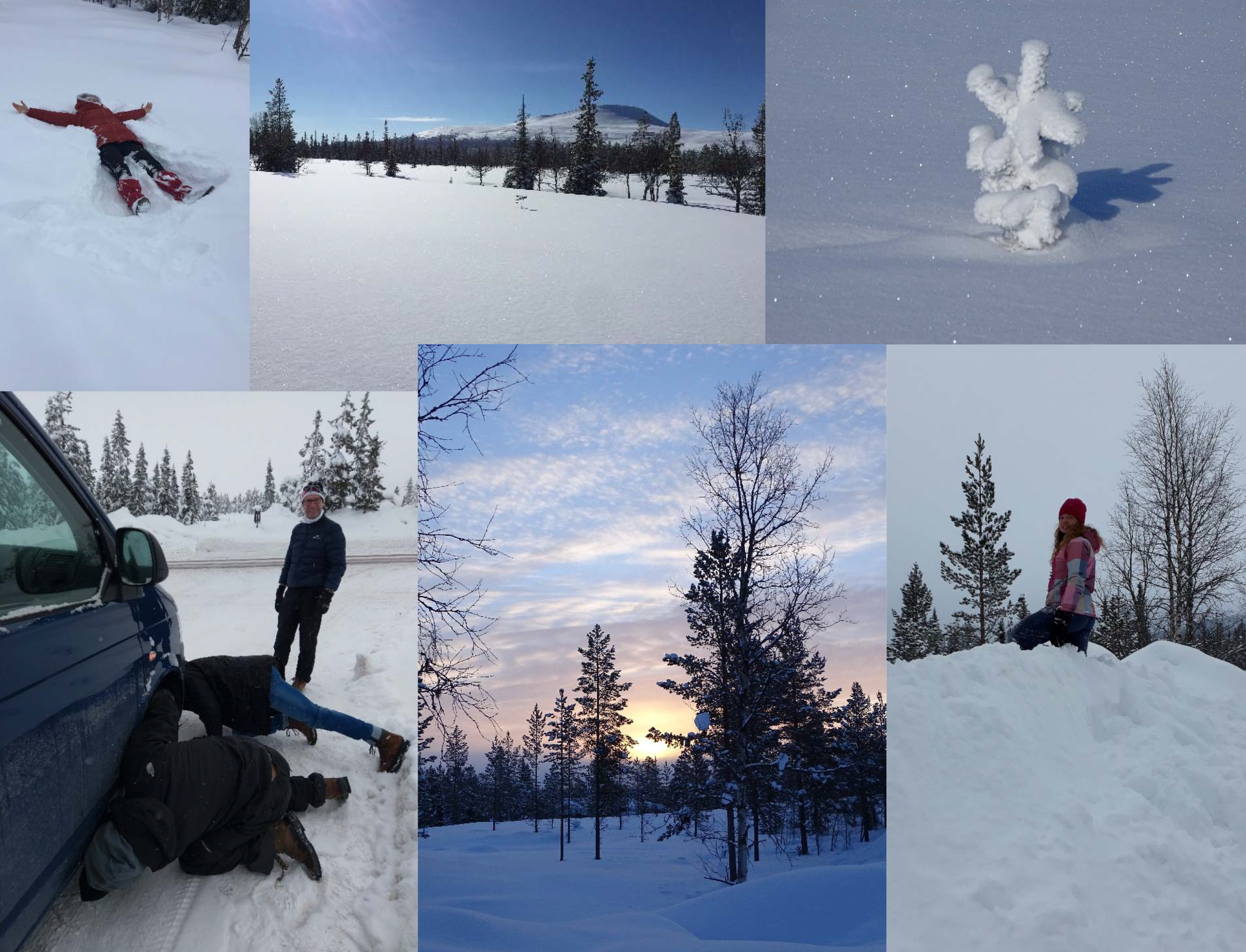 04 Schweden Wintertraum - Schneebilder