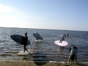 surfen_daenemark_05_037