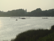 DSC00203