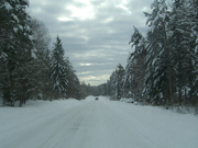 Schweden--20090225-103740_UweK