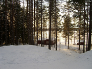 Schweden--20090227-164220_Igor