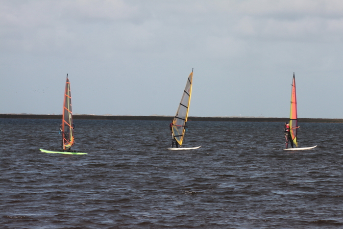 DPP_0001023