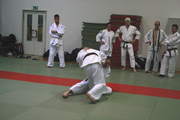 judo11