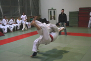 judo12