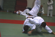 judo22