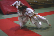 judo40
