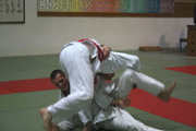 judo53