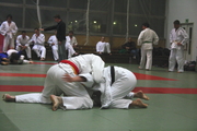 judo67