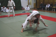 judo77