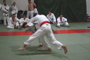 judo78