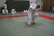 judo81
