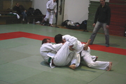 judo84