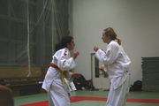 judo91