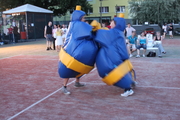 SNF 201089