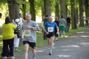 Elbebrckenlauf31