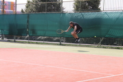 Te_2011_031