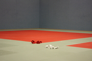 Judo_2011_0009