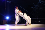 OSSB_2014_Show_095