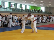 DHM_2014_Judo006