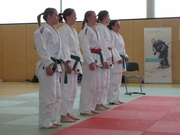 DHM_2014_Judo017