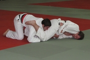 DHM_2014_Judo018