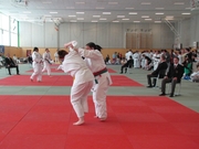 DHM_2014_Judo023