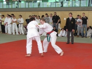 DHM_2014_Judo026