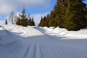 Ringebu_2014_015