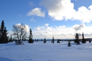 Ringebu_2014_016