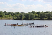 uni-open_Drachenboot_2014_063