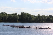 uni-open_Drachenboot_2014_074