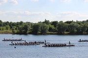 uni-open_Drachenboot_2014_082