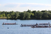 uni-open_Drachenboot_2014_086