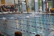 DHM_Schwimmen_2015_035