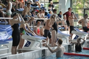 DHM_Schwimmen_2015_061