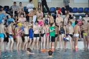 DHM_Schwimmen_2015_065