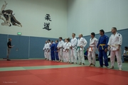 Judo Sommerturnier 2015_001