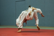 Judo Sommerturnier 2015_005
