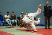Judo Sommerturnier 2015_007