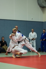 Judo Sommerturnier 2015_008