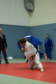 Judo Sommerturnier 2015_012