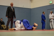 Judo Sommerturnier 2015_013