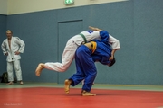 Judo Sommerturnier 2015_016