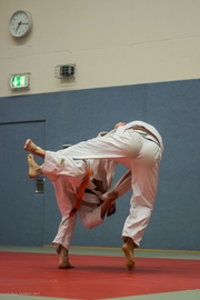 Judo Sommerturnier 2015_018