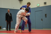 Judo Sommerturnier 2015_024