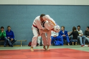 Judo Sommerturnier 2015_027
