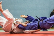 Judo Sommerturnier 2015_047