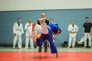 Judo-Weihnachtsturnier_2015_003