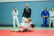 Judo-Weihnachtsturnier_2015_006